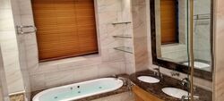 Ardmore Park (D10), Condominium #577683841